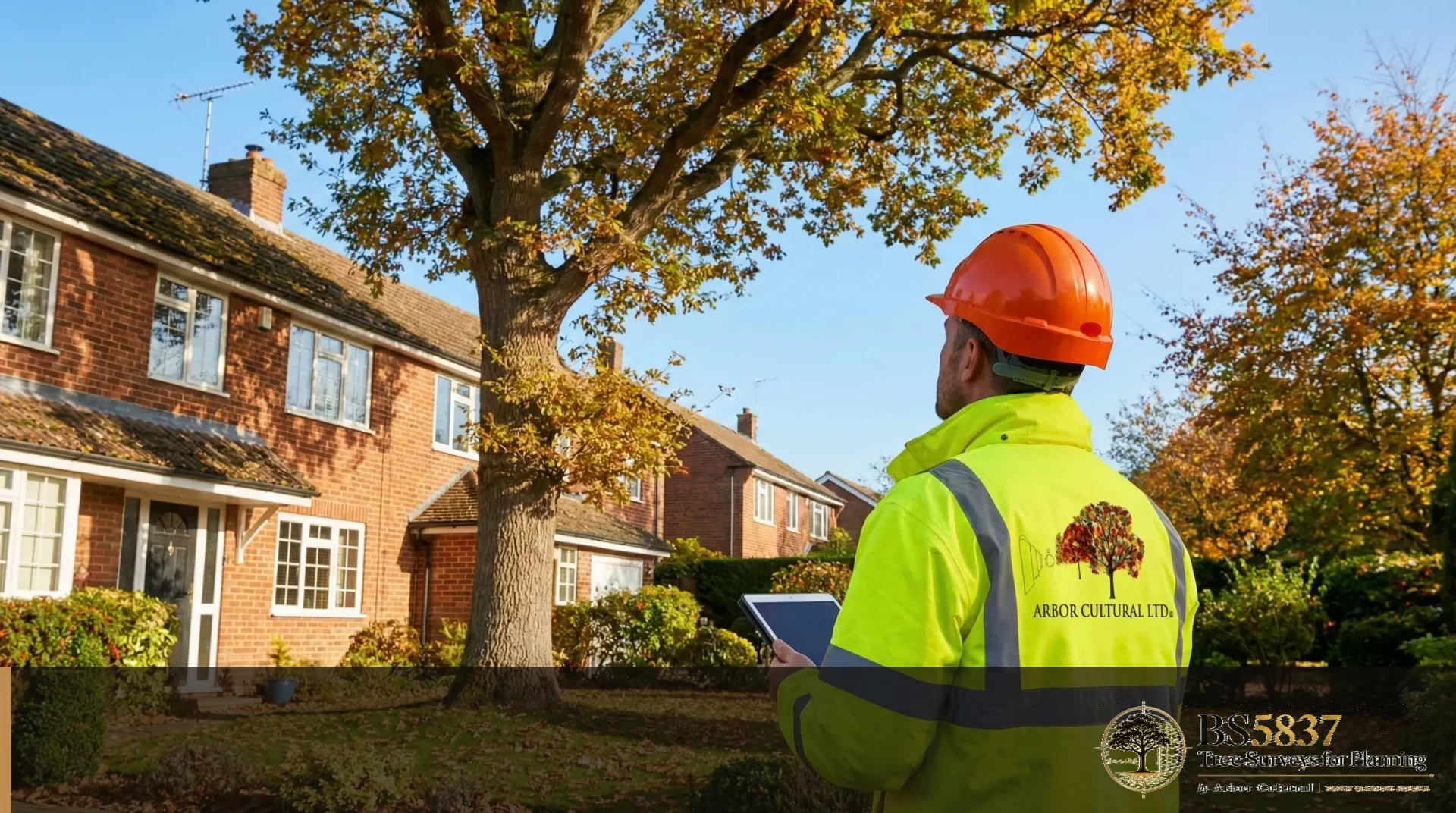BS5837 tree surveys for planning - Arboricultural Impact Assessment